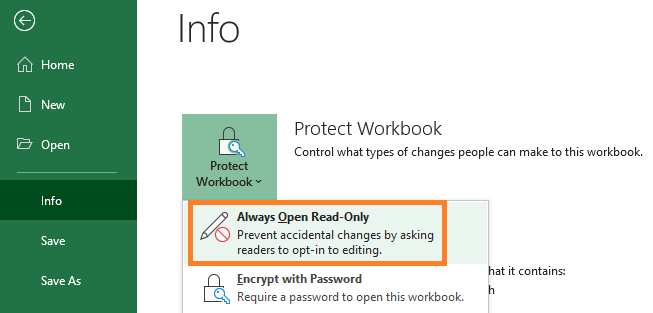 set Excel file read only info settings