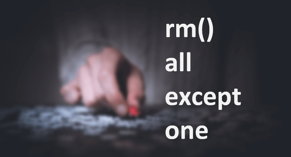 Remove all objects except one or few in R