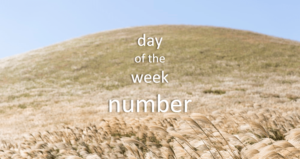 Day of the week number in R