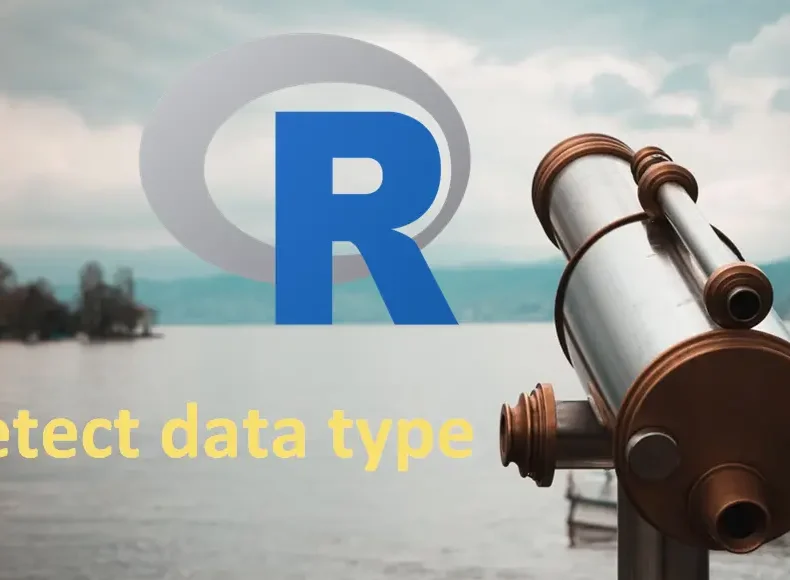 detect data types in R, check data type in R