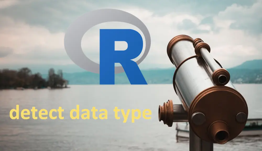 detect data types in R, check data type in R