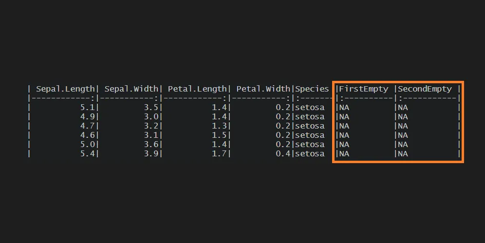 Blank Column In The R Data Frame